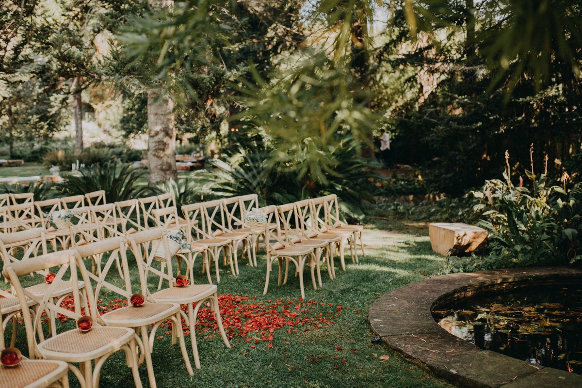 Grup Pous tweet media