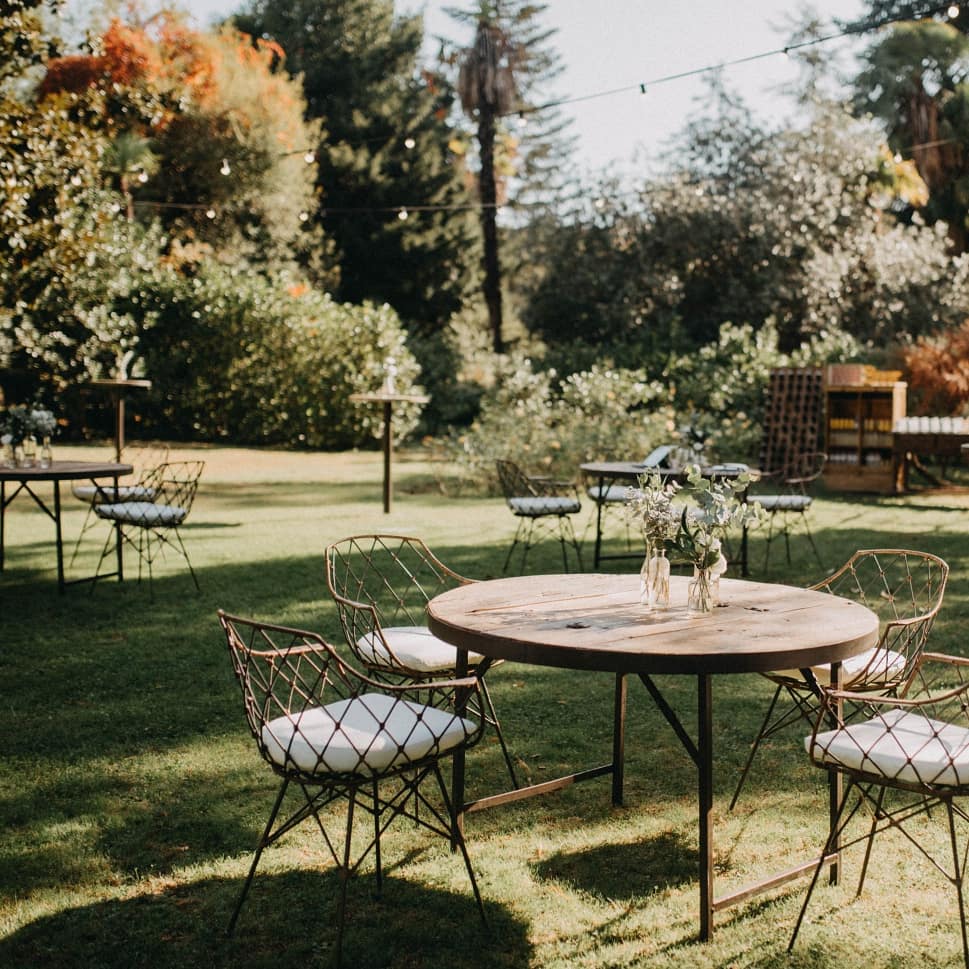 Grup Pous tweet media