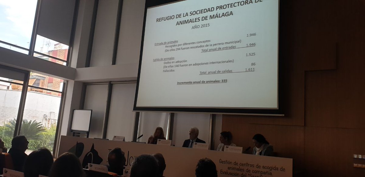FdCATS's tweet photo. Las protectoras luchan por soluciones para "llegar a no ser necesarias", proactividad, empeño, honestidad @protemalaga https://t.co/rC4kspgOx1