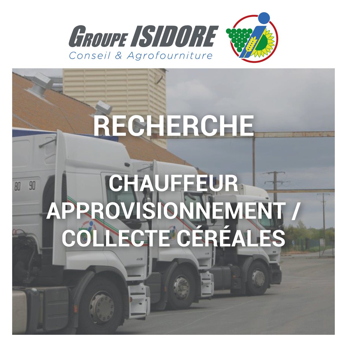GroupeIsidore's tweet image. [#Emploi]📋

Le #GroupeIsidore recherche Chauffeur Approvisionnement / Collecte Céréales pour 2 #CDI. 

Un poste basé à Malaville (16) et l&apos;autre à Réparsac (16).

Plus d&apos;informations sur ces postes :
➡️bit.ly/31DgGRQ
➡️bit.ly/33RnkVZ