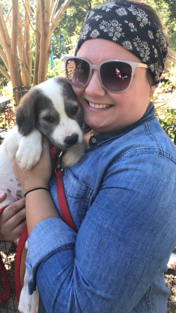 LittleBowman14's tweet photo. Over the weekend we rescued this little fur-baby, and already she has cemented her place in the pack 💕😍🐶 #MakeADogsDay @TODAYshow https://t.co/1WnVTaL95Q