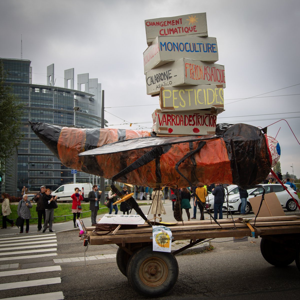 Greens/EFA in the EU Parliament 🌍 tweet media
