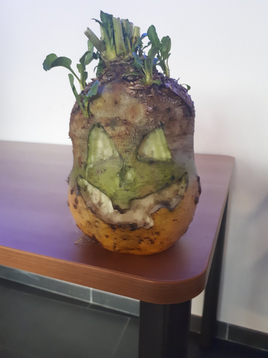 MrZuckerrube's tweet photo. Must be Halloween soon...

@KWSUKLtd beet offering another way to celebrate

#whoneedspumpkinsanyway
#beetisbest https://t.co/ktKPZGIXiu