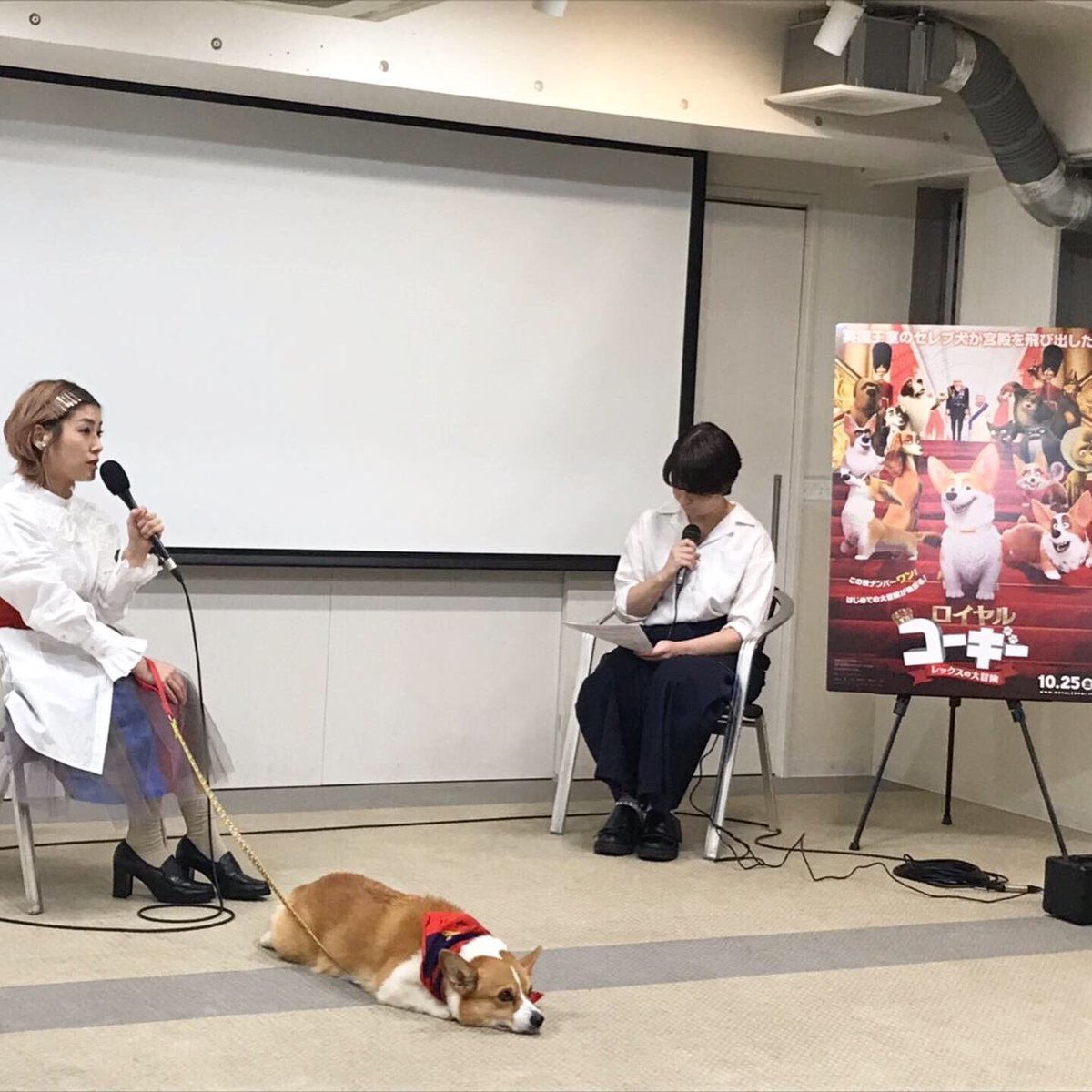 ロイヤルコーギー