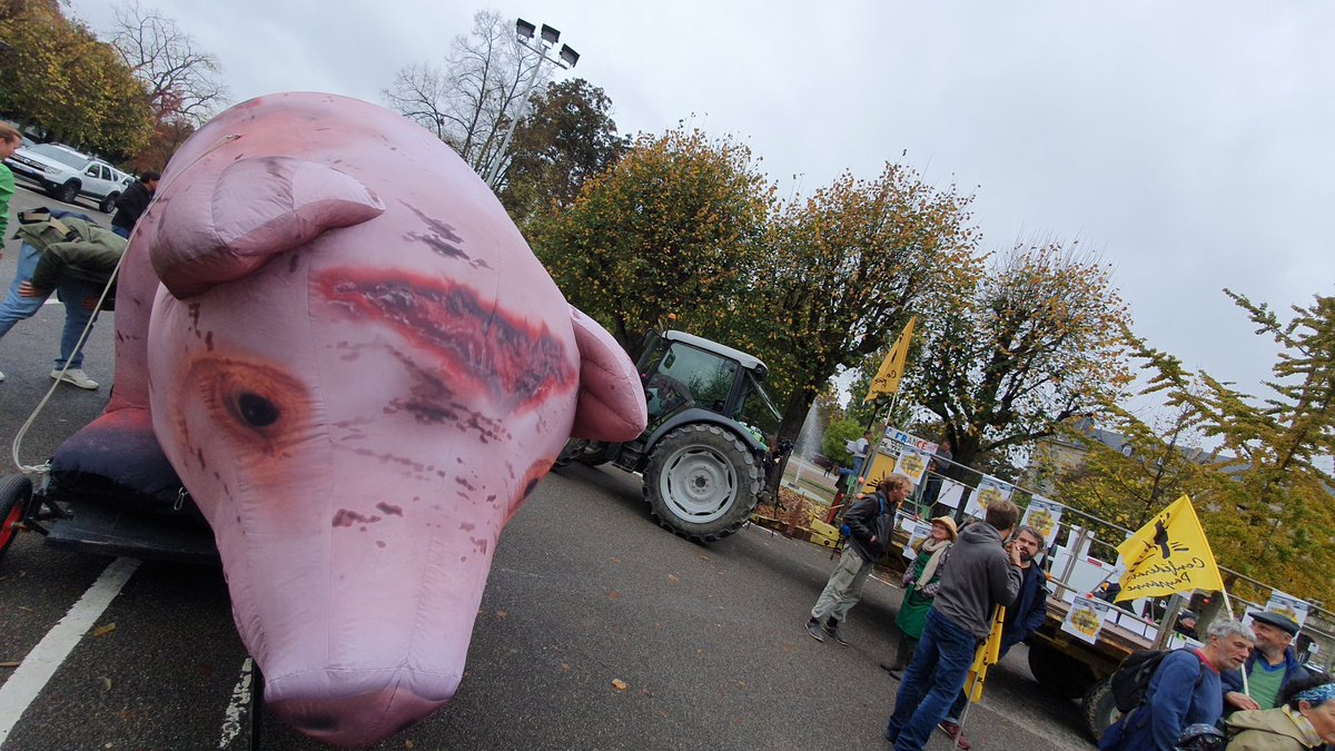 GFGFActionDays's tweet photo. 🚜🌻🐝Farmers, bee-keepers, activists, NGOs, consumers, young &amp; old from urban and rural areas across Europe join forces for the #GoodFoodGoodFarming action days. Today we carry their demands for a better #FutureOfCAP to the @EuroParl_EN in #Strasbourg. https://t.co/ut2LfLyAKA https://t.co/dCYttLK4AK