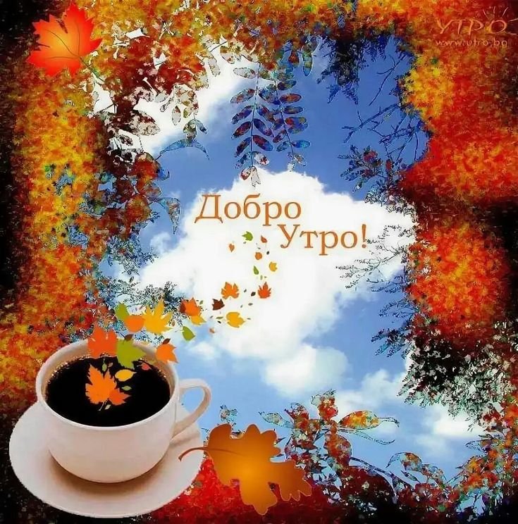 liudmila tweet media
