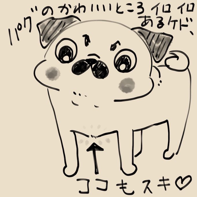 わかるかなぁ〜 
