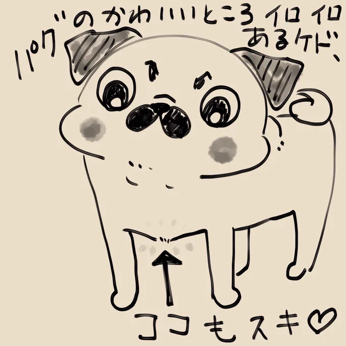 わかるかなぁ〜 