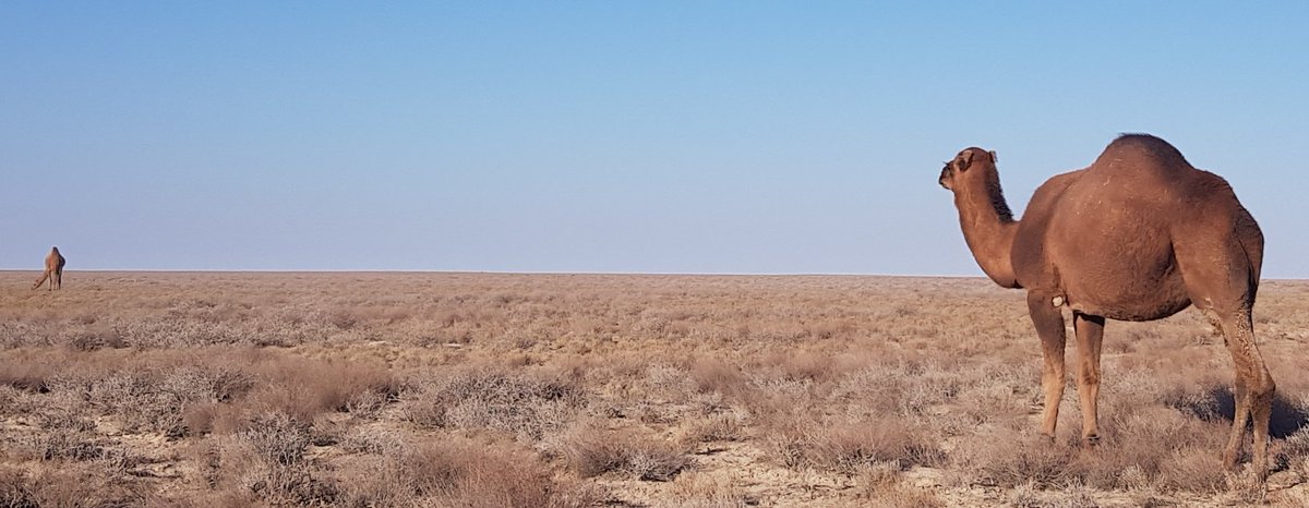 Kerstin Schulze tweet media