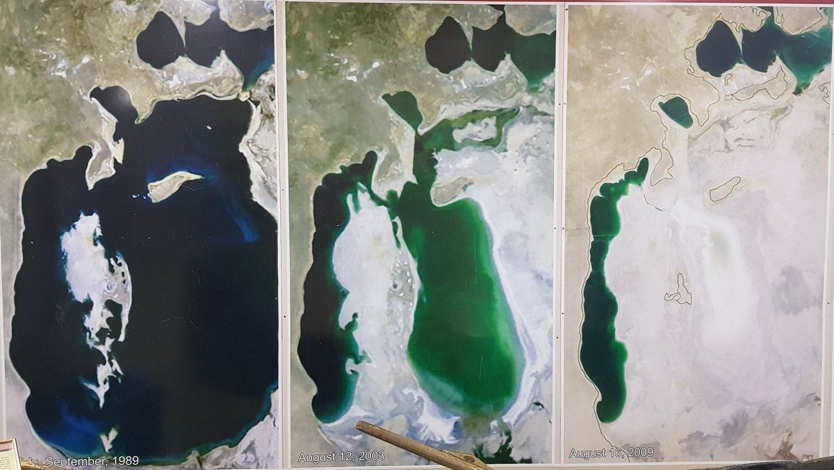 Kerstin Schulze tweet media