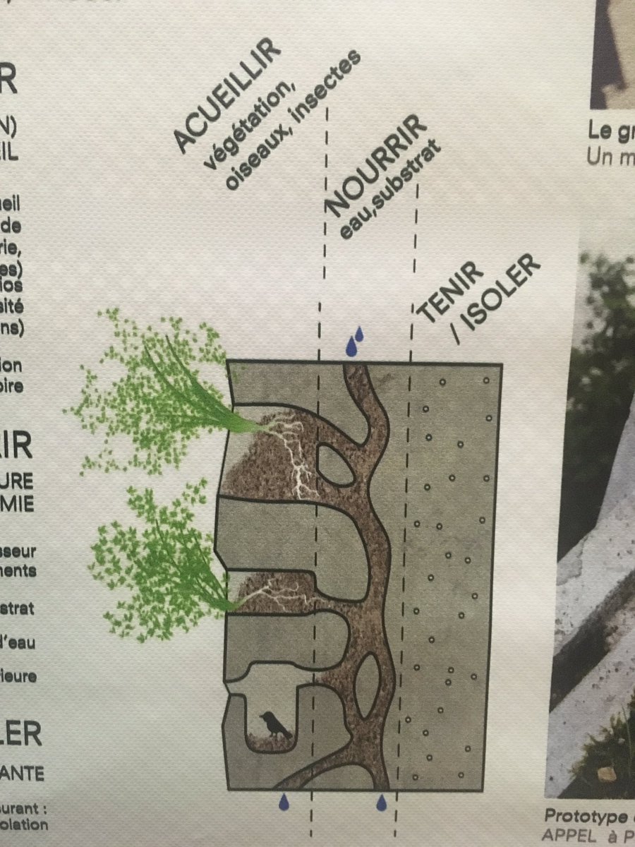 FloraPloquin's tweet photo. Bioinspire Muséum @Le_Museum présente un prototype de mur végétal au Biomim'Expo à la @citedessciences 
#Biomimexpo https://t.co/uD9wnH697i
