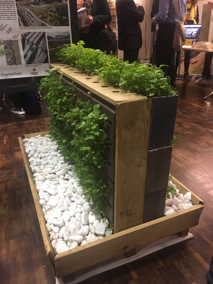 FloraPloquin's tweet photo. Bioinspire Muséum @Le_Museum présente un prototype de mur végétal au Biomim'Expo à la @citedessciences 
#Biomimexpo https://t.co/uD9wnH697i