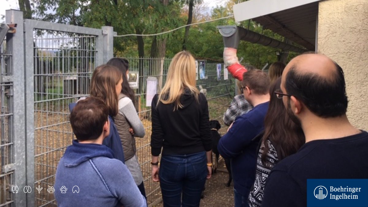Boehringer_AH's tweet photo. We just had a day out in Ingelheim! Several communication colleagues joined a #voluntary task force to support the local animal shelter. We helped cleaning, organizing and improving #animal welfare. That is our passion! 🐕🐈🐇 #AnimalHealth #volunteering #helping https://t.co/ZJ7vYeQCr5