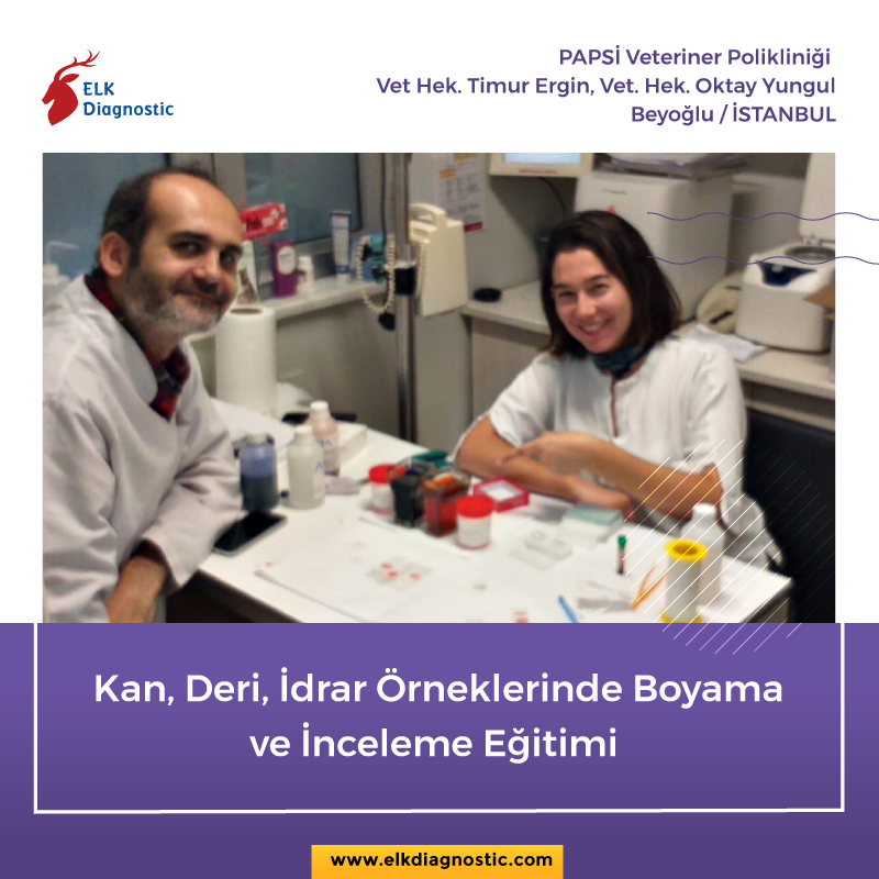 elkdiagnostic's tweet photo. PAPSİ Veteriner Polikliniğin'de yapmış olduğumuz "Kan, Deri, İdrar Öneklerinde Boyama ve İnceleme Eğitimi". Veteriner hekimlerimizin deneyimleri sayesinde patili dostlarımız daha sağlıklı ve daha güvende. 
#Vcheck #VetScan #HDmicroscope #Veteriner #VeterinerHekim #ELKDiagnostic https://t.co/eb9BMHqcJH