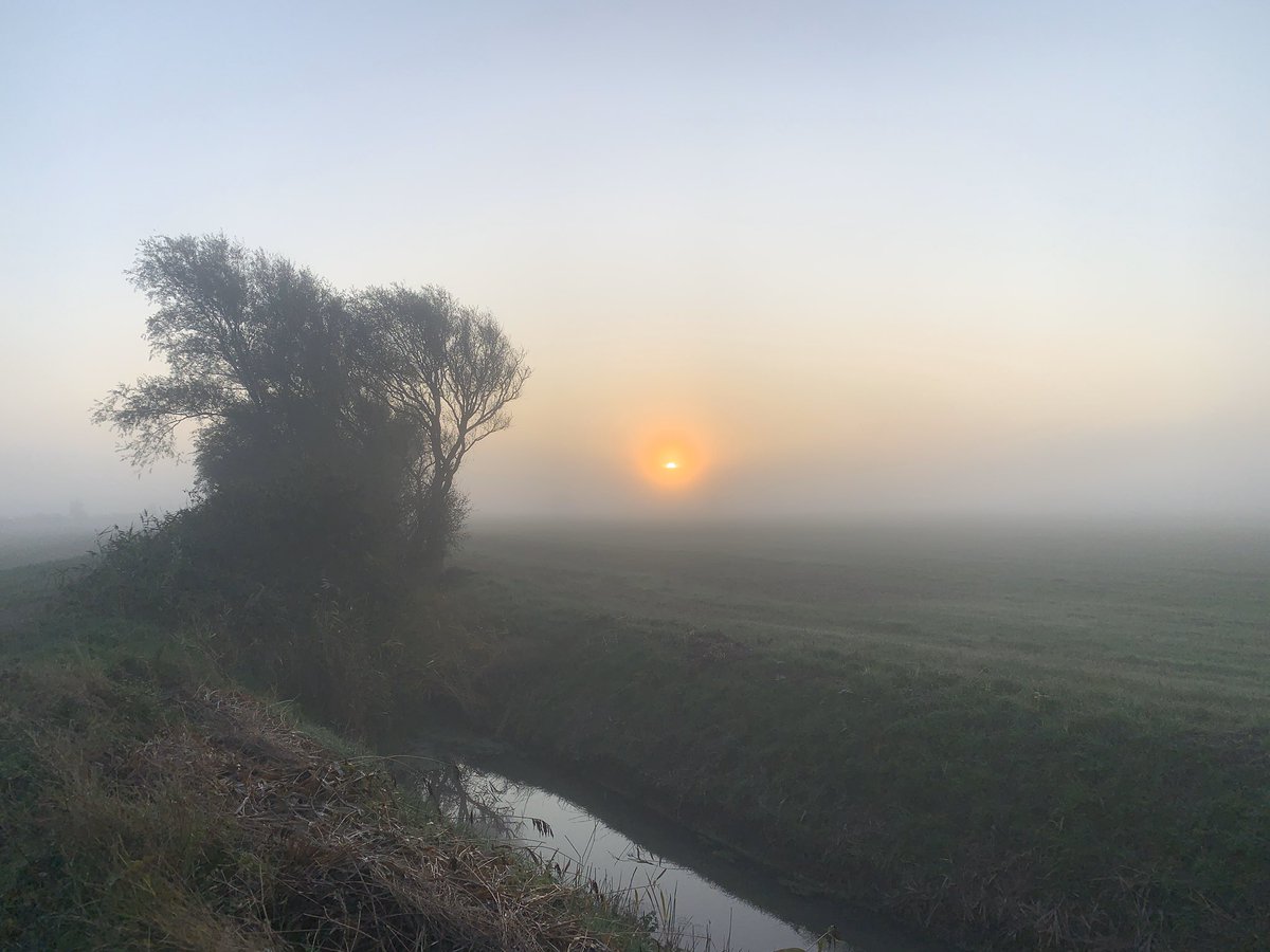 garethward's tweet photo. Unidentifiable object in Marsh sky at 7.30am  this morning. Is it. . . ? No. Can’t be. It is. It’s the Sun!! 

Btw has since disappeared again.
#romneymarsh l https://t.co/gIxS5l4OYU