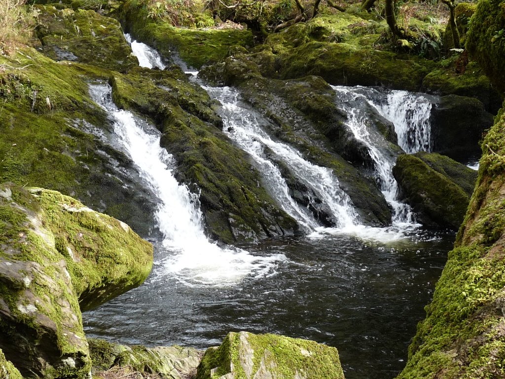 cgfffc19's tweet photo. ‘Mond 3 wythnos i fynd! Mae’r Gynhadledd Gwir Fwyd a Ffermio Cymru’n fwy na bwyd o’r tir: bydd dŵr a physgota dan sylw, diolch i @WUFoundation @DwrCymru @mcsuk @Welsh_Fishermen a Jane Davies, North Wales FLAG https://t.co/LlMklJNwnz
