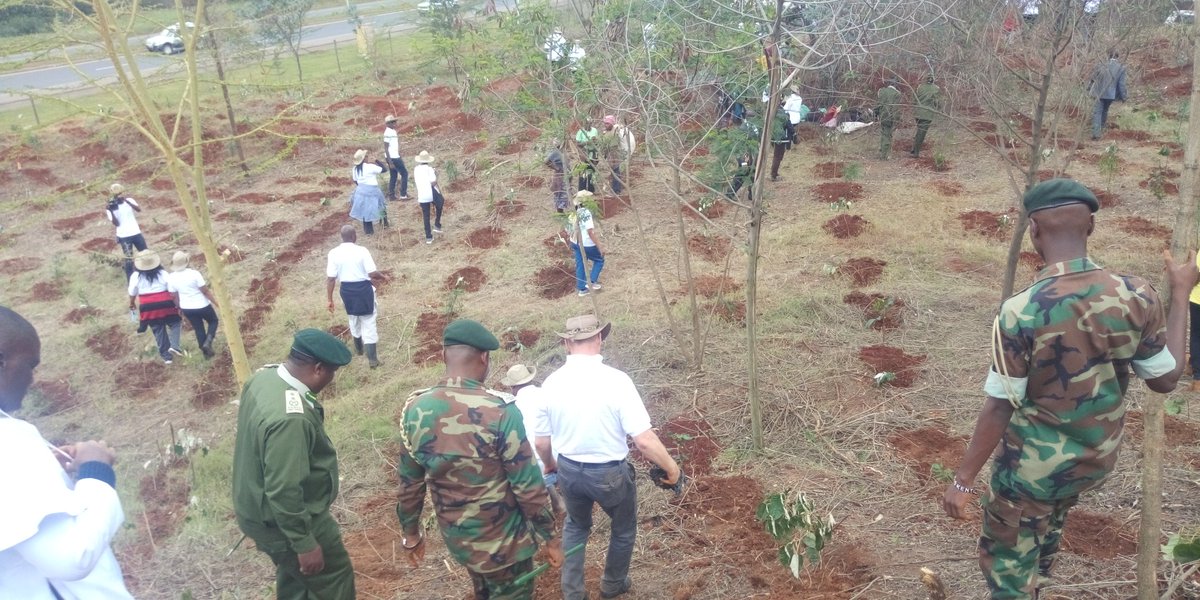 arnold_olando's tweet photo. Equity Bank cerebrating 35yrs since it started its operations in Kenya by planting  5000 trees at Ngong forest #Ghettoradionews https://t.co/kNpb6pKwYM