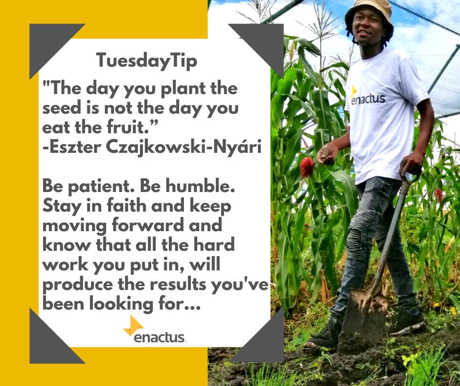 enactusZA's tweet photo. #TuesdayTip The day you plant the seed is not the day you eat the fruit. #OwnYourFuture #WeAllWin https://t.co/Gw2EbbyZSU