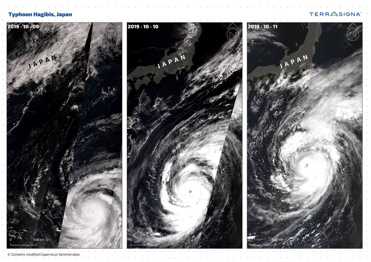 TERRASIGNA tweet media