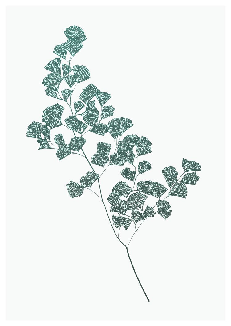 PetaltoPetal's tweet photo. The first 'Be Framed' exhibition in Douglas, Cork which features work from over 30 artists runs until 30th October and includes 3 of my framed Fern prints framed in beautiful solid dark wooden frames. #exhibition #cork #beframed #douglas #fernprint #petaltopetal https://t.co/My7XakBoNj
