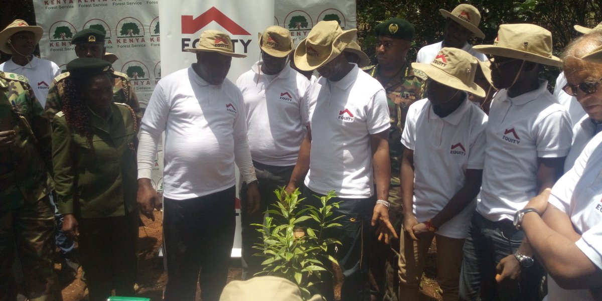 arnold_olando's tweet photo. Ceo Equity bank Dr James Mwangi planting the Muthiga tree species at Ngong forest at Equity bank's 35yr celebration #NiajeNiaje @GhettoRadio895  #Ghettoradionews https://t.co/6RZ7WCynwo