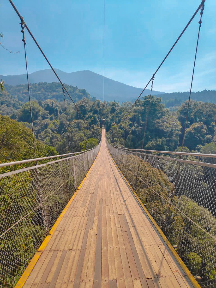 Situ Gunung Suspension Bridge 🇲🇨
