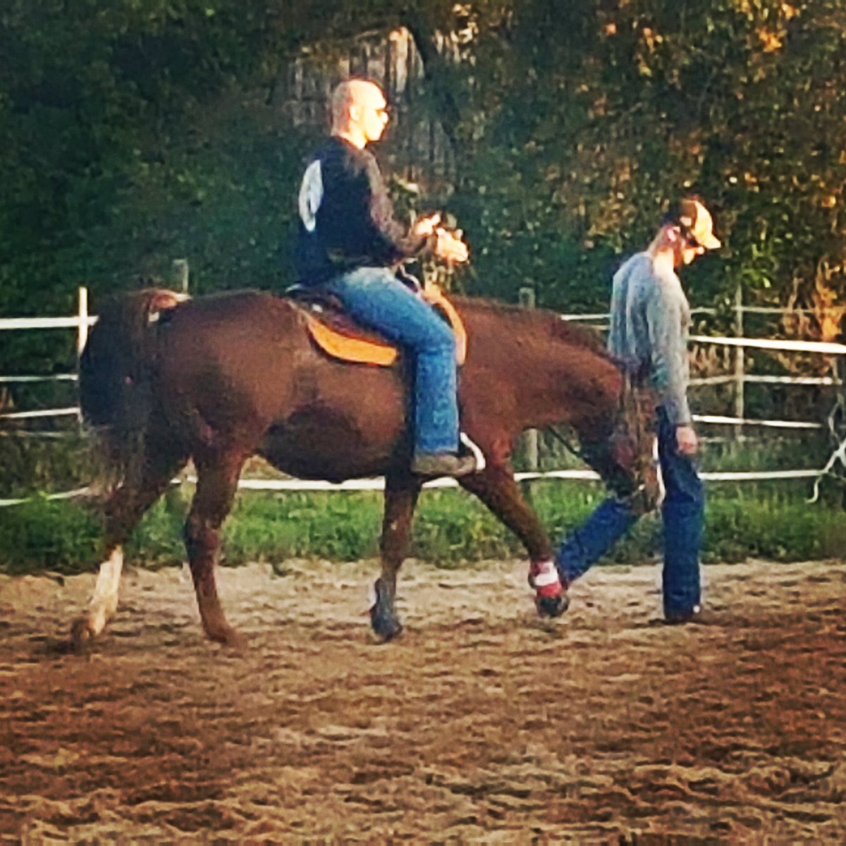 PerformanceVF's tweet image. Little late for #mancrushmonday but still...
The love of my life❤!
The four legged one, in case anyone is wondering...

#vfdialmanreview #markedforgreatness #apha #aphaproud #thegentlemanstud