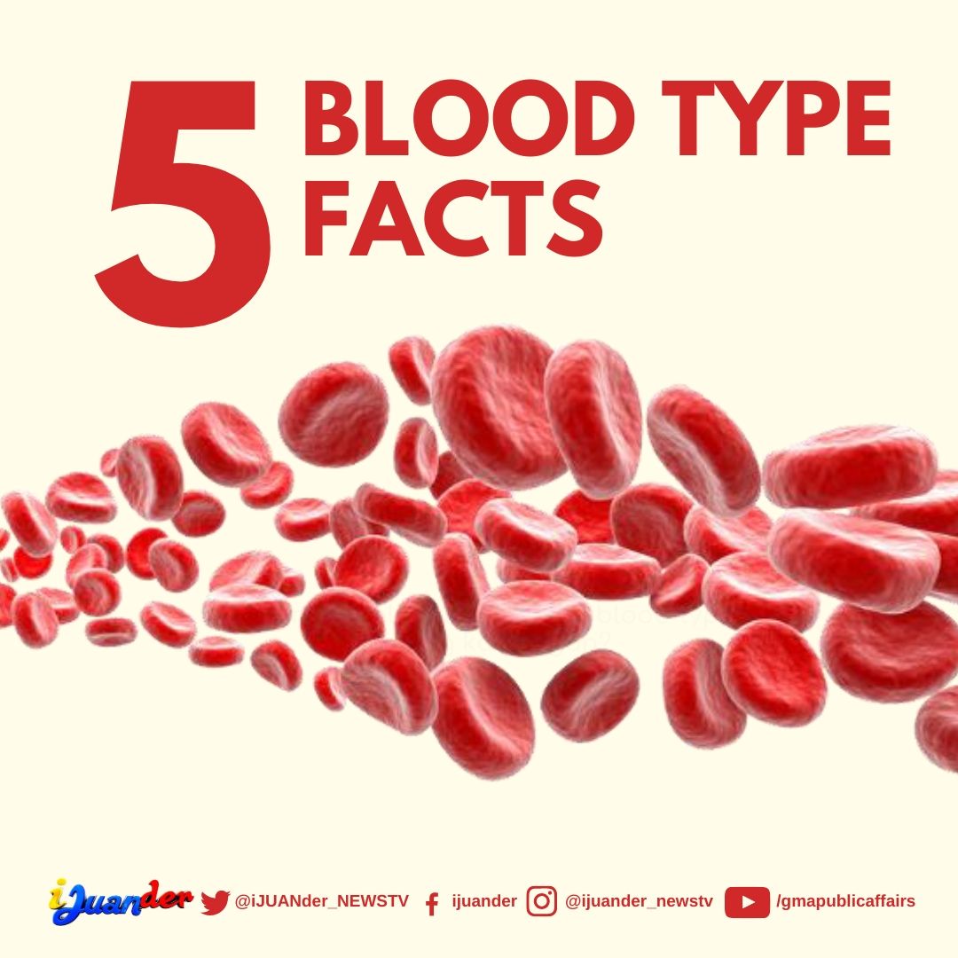 What Your Blood Type Says About You: A Fun, Educational Look at