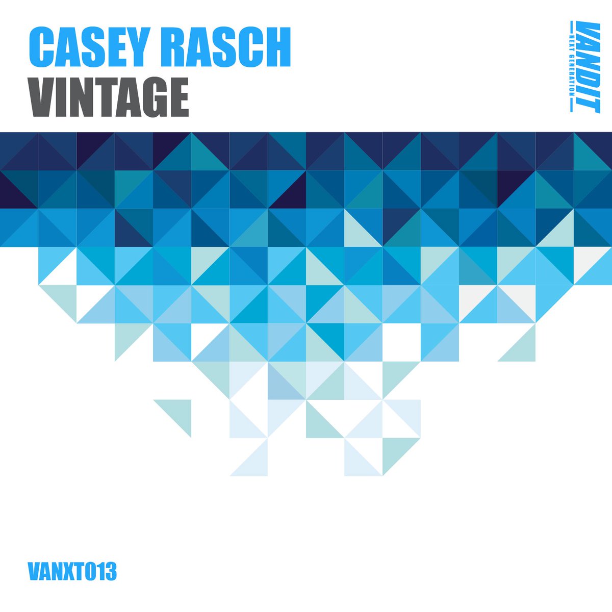 vanditrecords's tweet photo. Happy release day @CaseyRasch! 
VINTAGE is out now on #VANDITNextGeneration

https://t.co/ZFNZvj7e8U https://t.co/kvPFBvEw7p