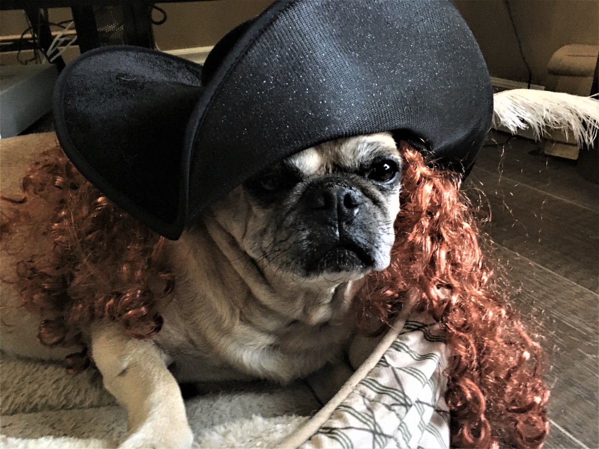 Sharon Montgomery-Dupe tweet media