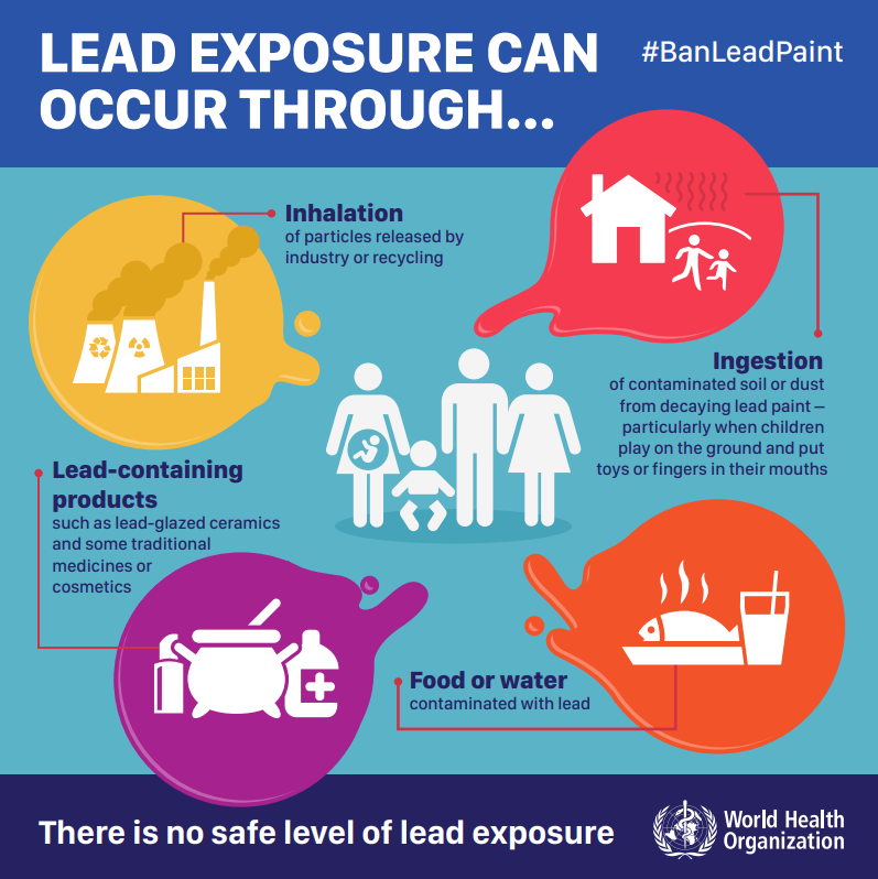 World Health Organization (WHO) on Twitter: "Lead paint is a major ...