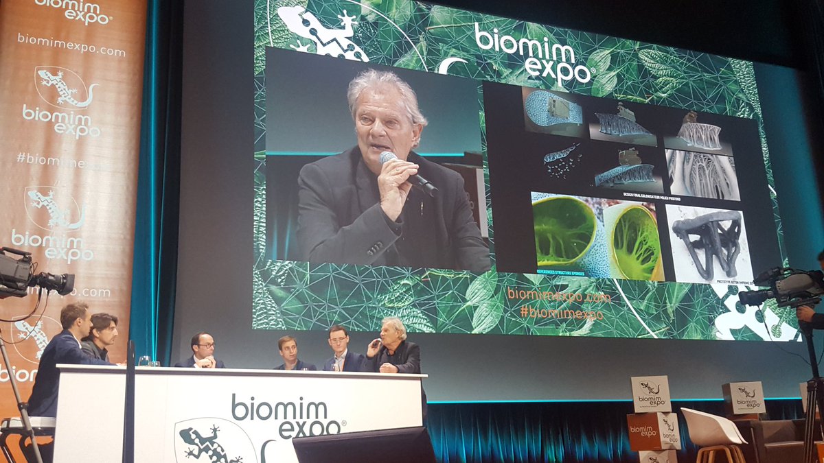 Fondation Jacques Rougerie tweet media