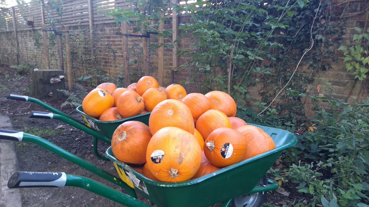 LSx_News's tweet photo. It's half term! We've got bulbs of all shapes & sizes to plant today at @WestwayTrust wildlife garden (by the sports centre)! Snowlakes, bluebells, wild garlic and daffodil, all native varieties emerging early spring to create #PollinatorPaths π Join us from 12 to 3pm π https://t.co/1B8fpvHBmp