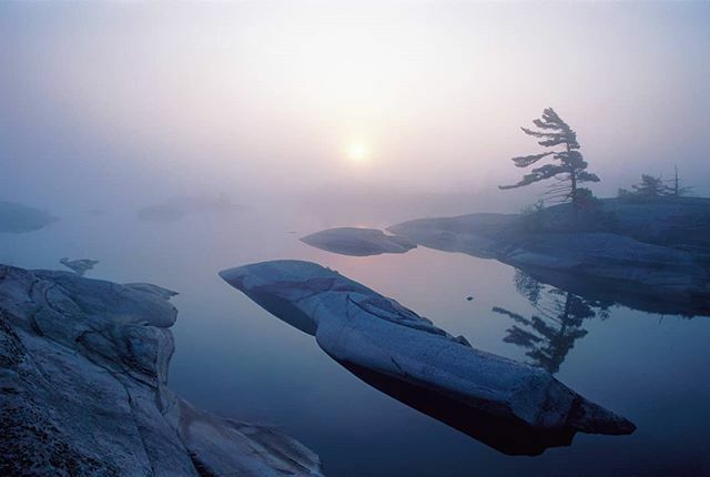 Ron Smid tweet media