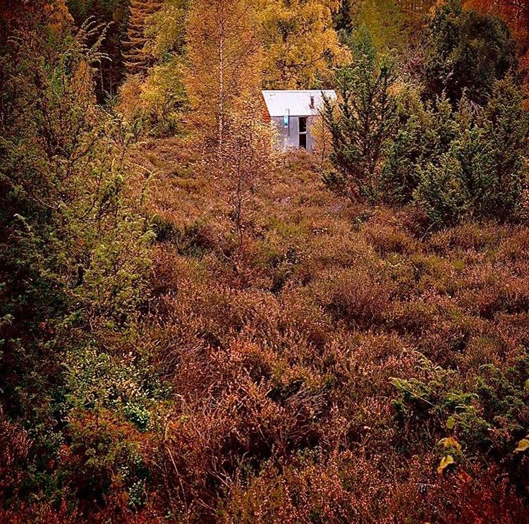 WalkWhiskyWellness tweet media