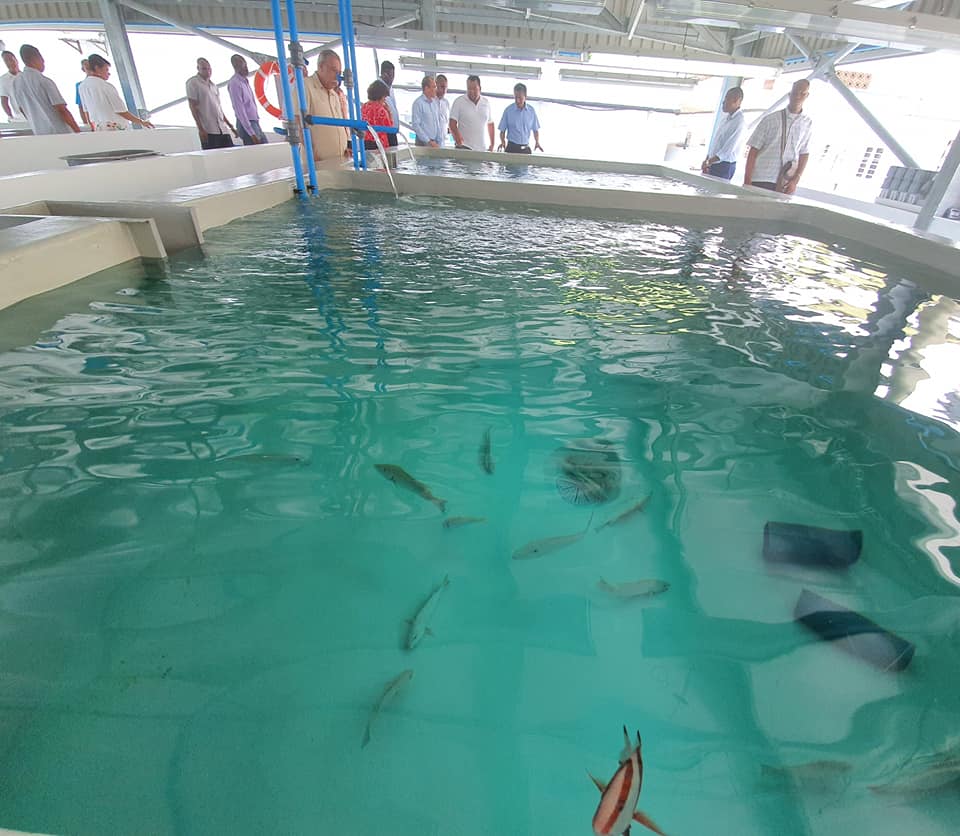 SIB was invited to attend the opening of the Broodstock Acclimation and Quarantine Facility based at the SFA #Fishing Port at Providence.

The opening of this facility marks the first infrastructure step towards developing #Aquaculture in #Seychelles.

#InvestinSeychelles