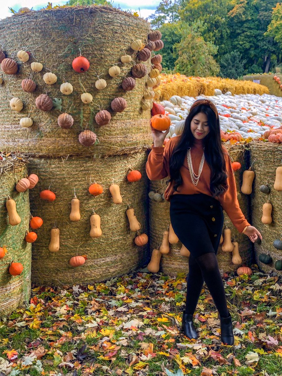 Estefi_Pag's tweet photo. 👉🏻 #Sabíasque:
¿El Festival de Calabazas 🎃 más grande del mundo, se encuentra en #Alemania?
🍁Conoce más de esta atracción de #otoño en mi nuevo #Podcast👇🏻
https://t.co/kIVMj1GagS https://t.co/a9IElqFYOR