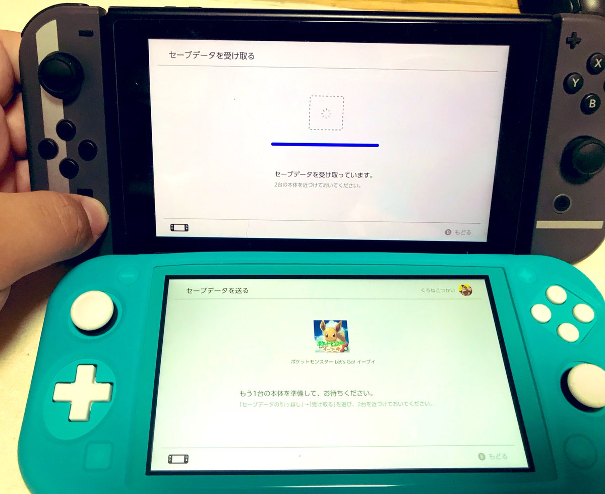 黒猫使いの鈴木 本体が2つある場合3dsのパッケージ版の仕様と大きく違うので判り難いと言う方が正確です Nintendoswitch セーブデータはカートリッジではなく本体もしくはsdカードに保存されます カートリッジを抜き差しても同じ本体でプレイ