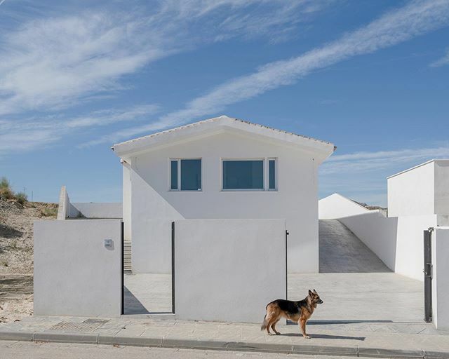 NachoVillaFoto's tweet photo. Como dar escala en la arquitectura: 🐆🌿
.
.
.
#modernarchitecture #dogslovers #luxuryhomes #marbella #malaga #architects #architecture #soanisharchitects #buildingahouse #luxuryrealestate #realestatemarbella #arquitectosmarbella https://t.co/rxrn98X0AJ https://t.co/X8Py3rd84t