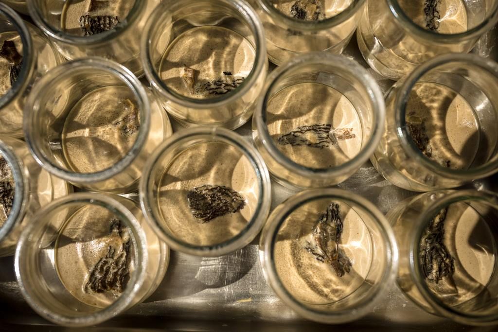 saocatering's tweet image. #Aperitius... bons, bons! 👌 
saocatering.com