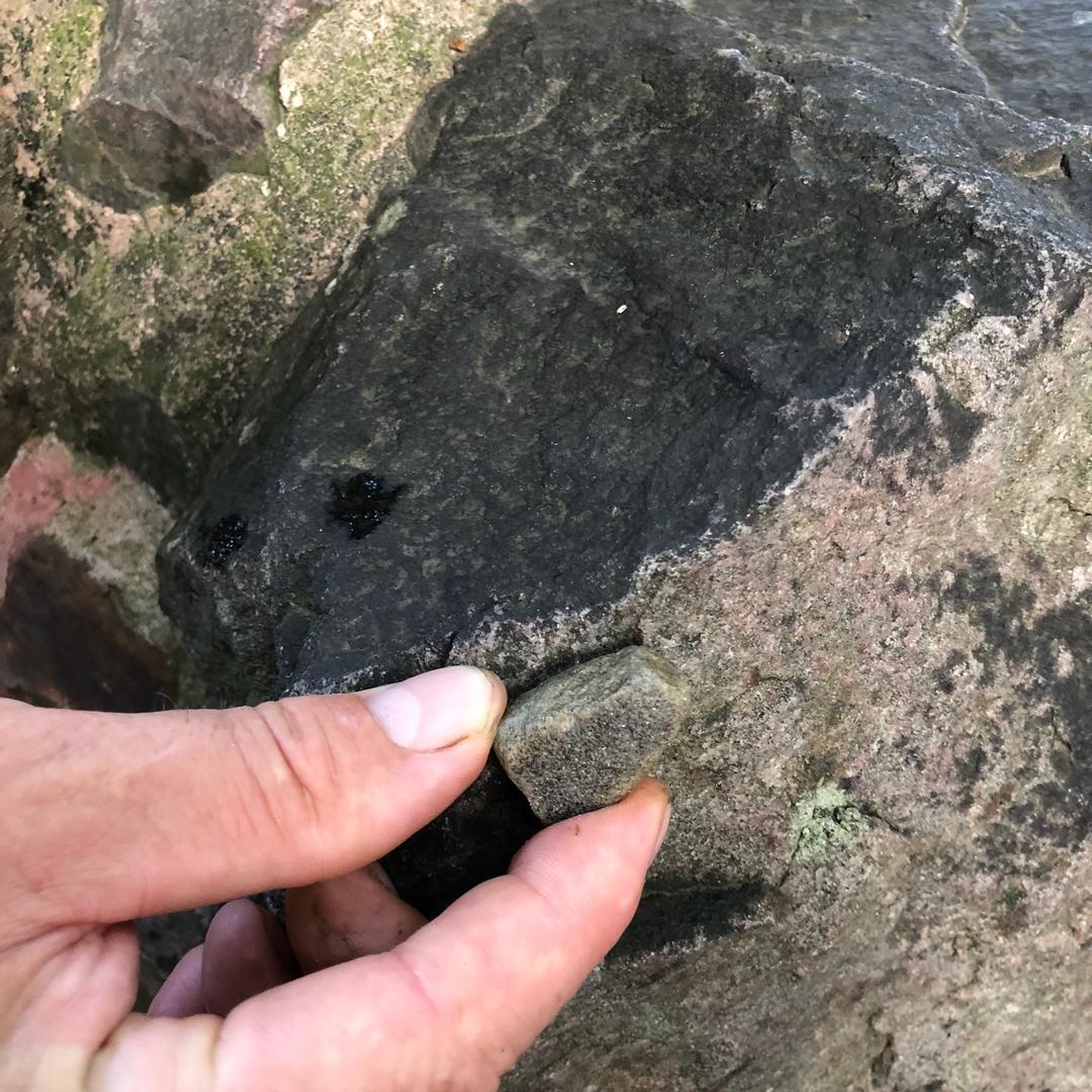RHSBridgewater's tweet photo. These rocks are part of an amazing stone structure at The Ge Yuan garden in Yang Zhou, alongside a piece of stone from a local UK quarry that bears an almost identical resemblance.  Rock of this design will add an authentic feel to our Chinese Streamside Garden. https://t.co/O6sm2osi5f
