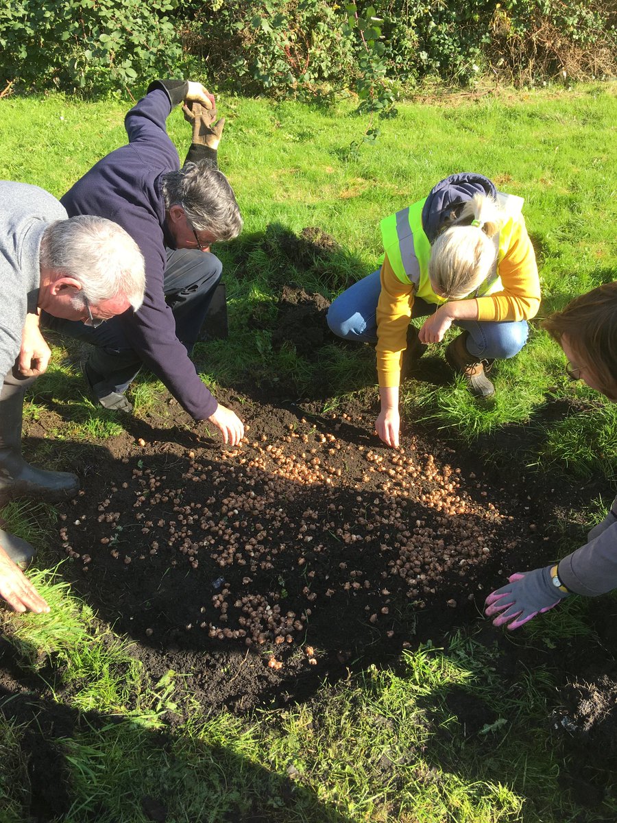 CheltenhamParks's tweet image. Thanks to the rotary club of Cheltenham, gardeners lane school and @BigLocalChelt for planting purple crocuses for polio in Elmfield park this morning👍
#Cheltenham @CheltenhamBC
rotary-ribi.org/clubs/page.php…