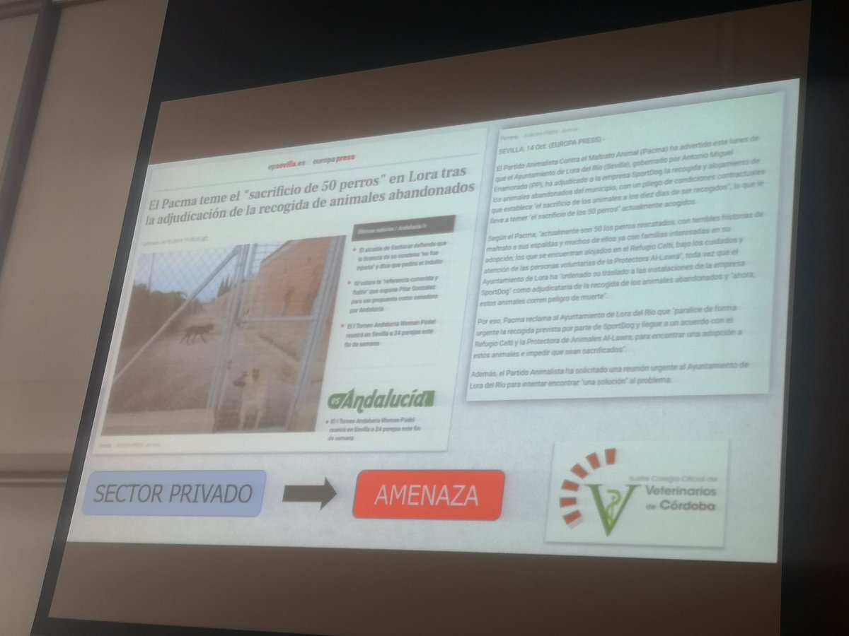 FdCATS's tweet photo. "La gestión de empresas es una amenaza para el cumplimiento del objetivo de "sacrificio cero""según Jfco. Sánchez del col de vets de Córdoba y @sadeco Y la gestión por Zoosanitarios también es inconsistente con el sacrificio cero pero eso no lo ha dicho... https://t.co/UmARhcALRO