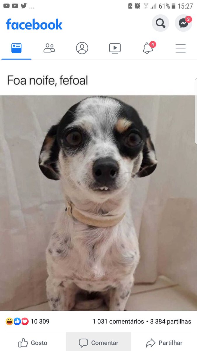 Pedgress's tweet image. 