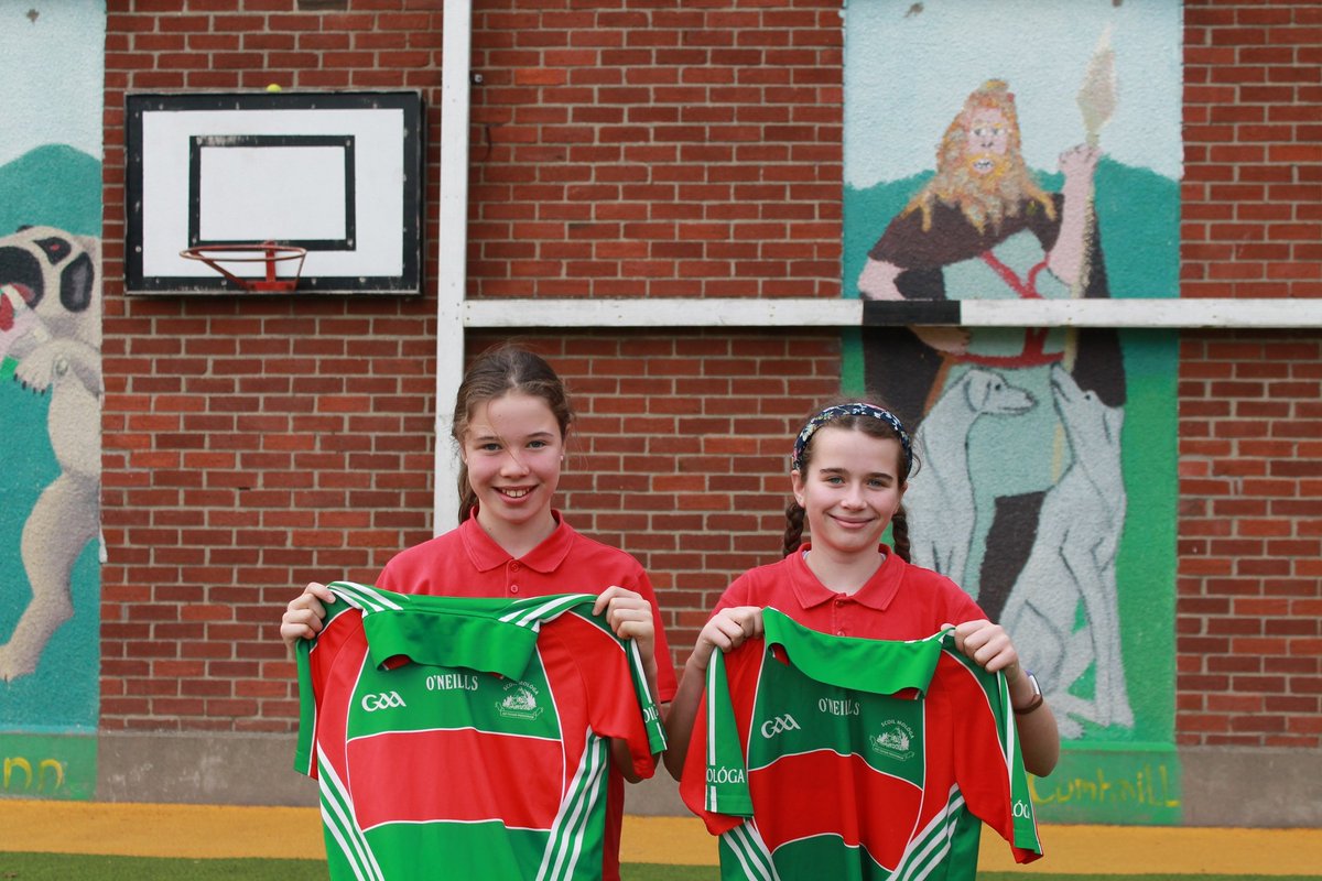 ScoilMológa tweet media