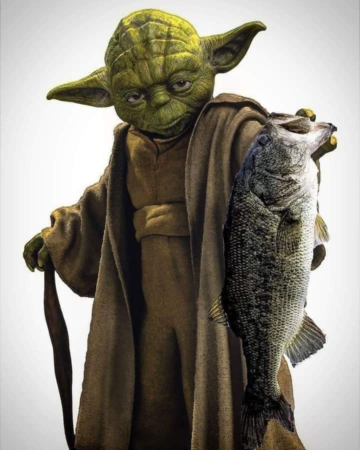 PSbassguide's tweet image. Received my re-up Mayhem tube in the mail, thanks! 🎣🇺🇸💪🏼👊🏼#armybassanglers #liquidmayem #supportdefendfish #mayemmilitia