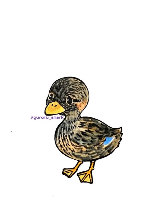 合鴨のtwitterイラスト検索結果 古い順