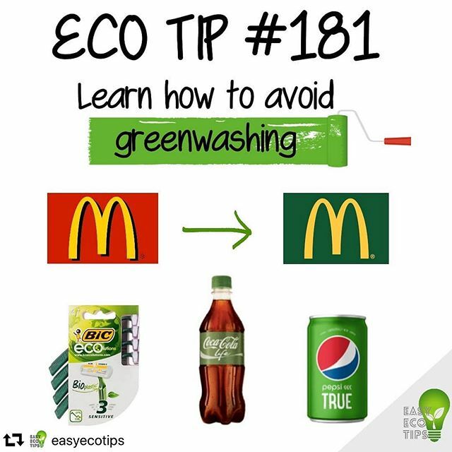 Greenwashing Sucks Greenup Abroad