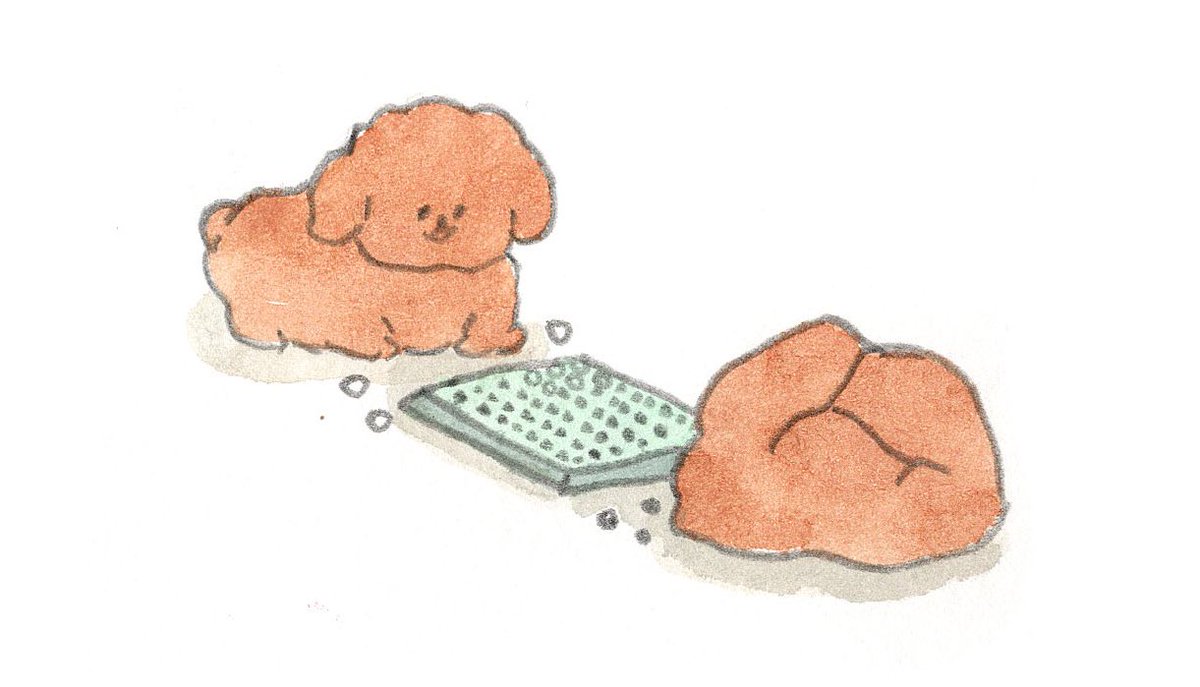 たべものに育てられた犬 公式 Tabemono Inu Twitter たべものに育てられた犬 公式 Tabemono Inu Twitter
