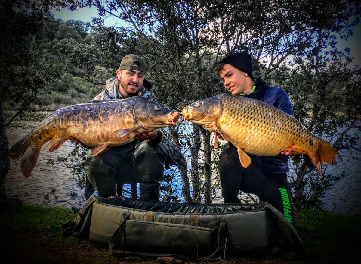 Tiempo de grandes peces... Tiempo de Krabben....
#KRABBEN #PERALBAITS #CARPFISHING